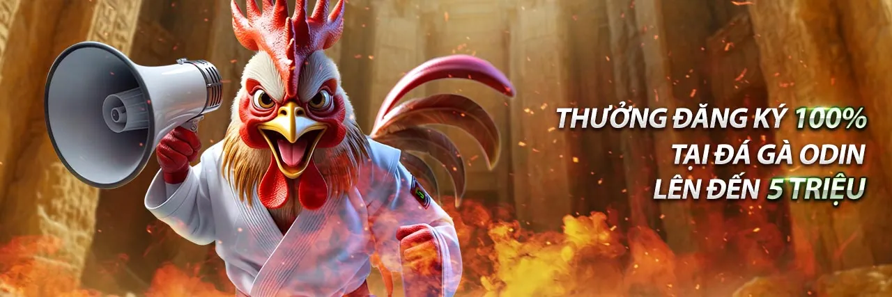 Chọn trận đấu và đặt cược